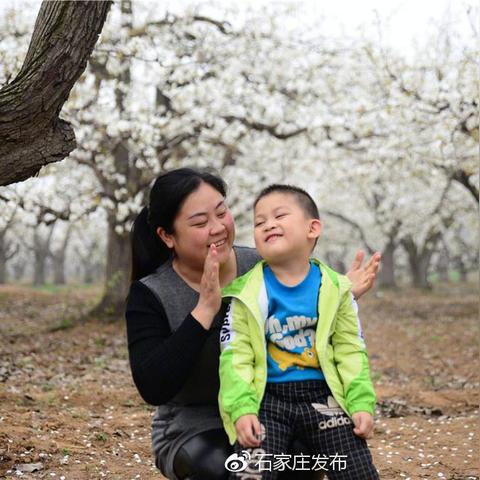 石家庄市汽车站在哪个区