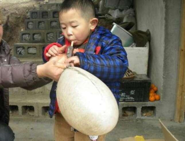 宝宝起名字不喜欢怎么办（家里小孩非常顽皮）