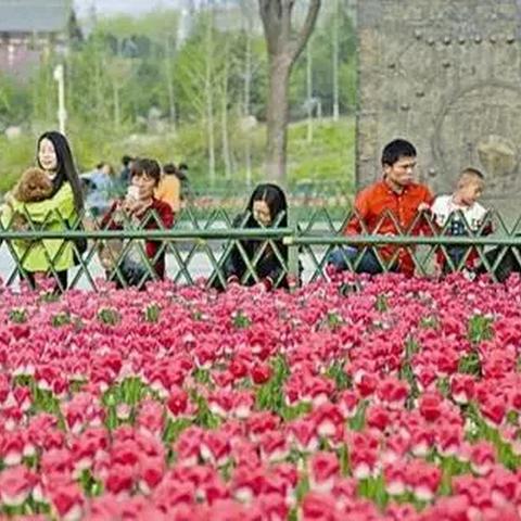 山西运城永济天气的长尾关键词有什么