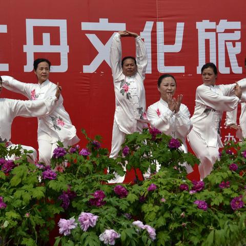 菏泽市油牡丹种植的长尾关键词有什么