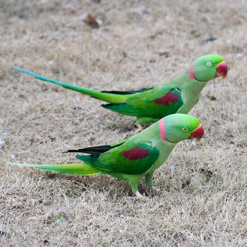 56音乐网歌曲大全的长尾关键词有什么