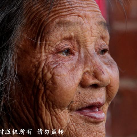 河南冬天可以钓什么鱼儿