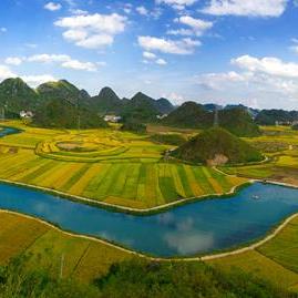 桂林市牛八宝哪里好吃啊