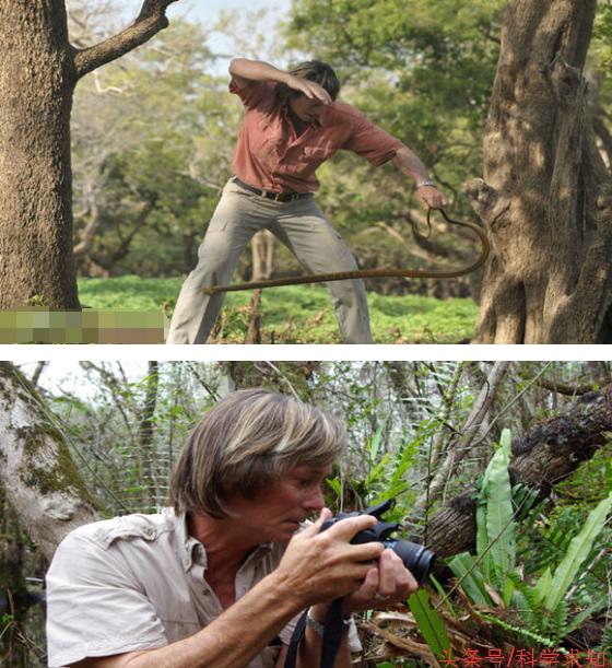 周公解梦，晚上梦蛇咬一口的深层含义与解析