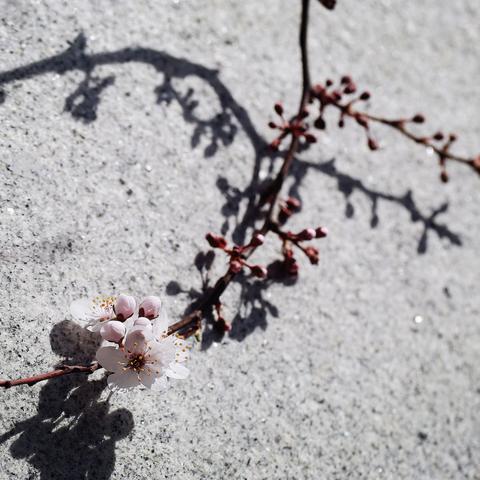 长春至武汉火车时刻的长尾关键词有哪些