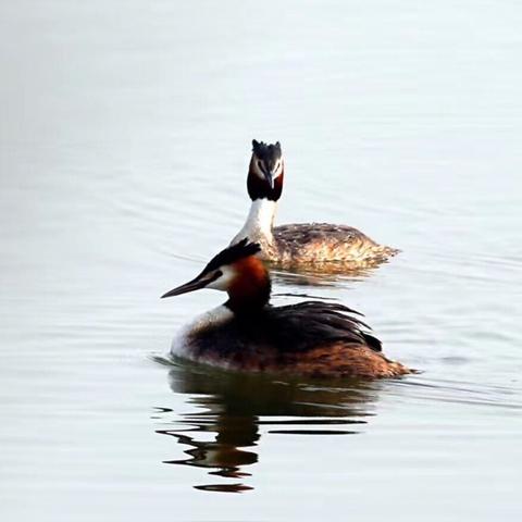 从杭州东站坐地铁去临江开发区哪里下比较近？