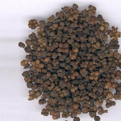 儿童湿疹用什么药