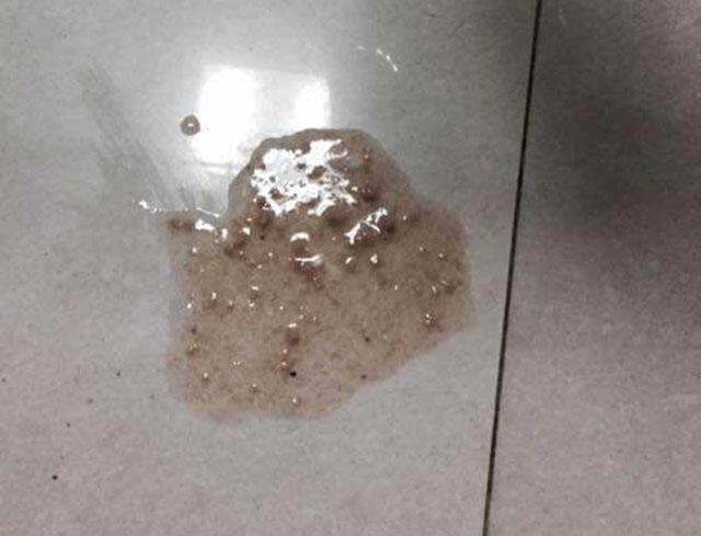 周公解梦，梦见狗的脑袋掉了，预示何意？