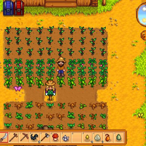 星露谷职业（星露谷职业，探索与成长）