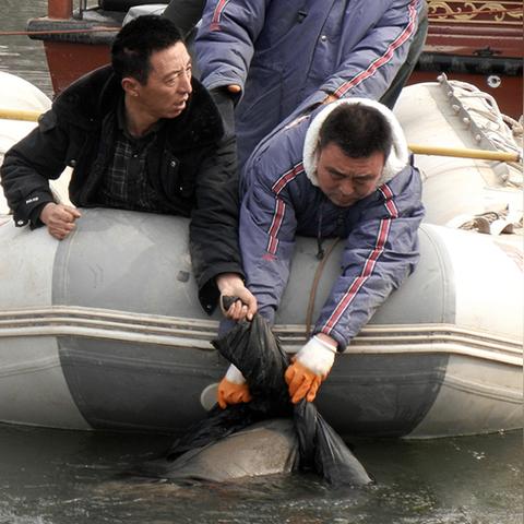 兰州黄河浮尸的相关长尾关键词有哪些