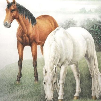 属马生肖今年的运势(属马今年运势及财运)