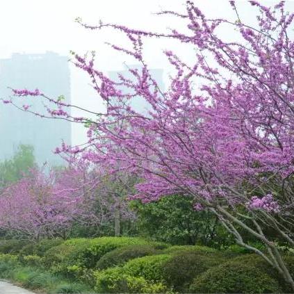 今天湖州天气怎么样