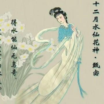 石家庄市哪里美女最多啊