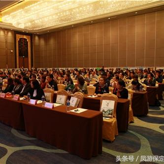 保定市星级学校有哪些学校