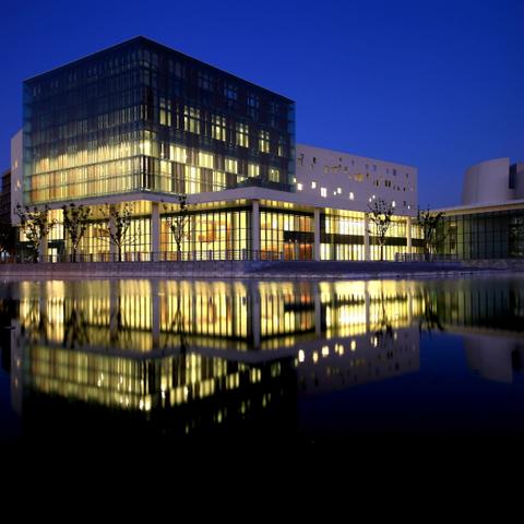 上海哪些大学院校