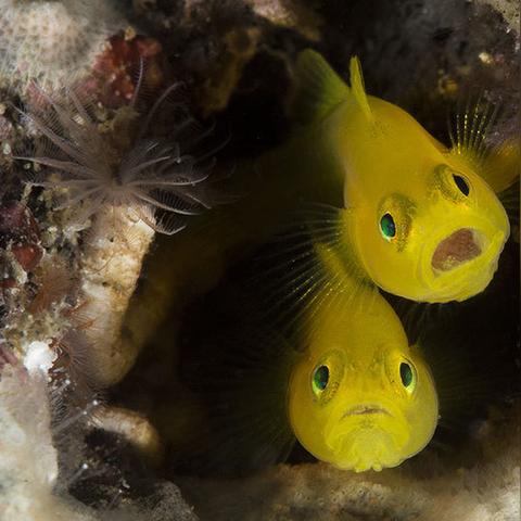 希腊历史足球比赛结果的长尾关键词有什么