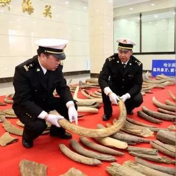 哈尔滨玉石馆相关长尾关键词有哪些