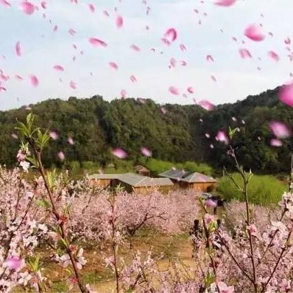 长沙市哪个地区好玩的多