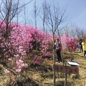 庄河市和大连市哪个好