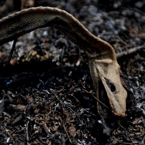 沈阳成人高考怎么报名相关长尾关键词有哪些