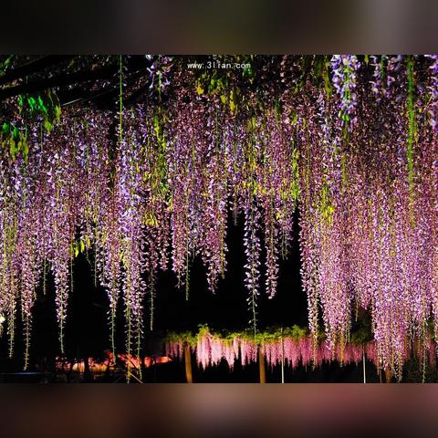 武汉市4050需要什么条件