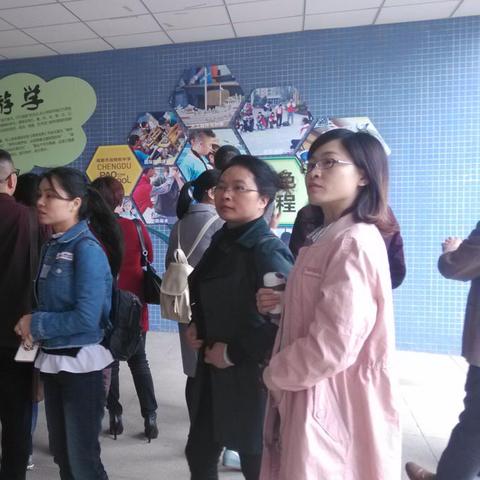 成都市泡桐树在哪里