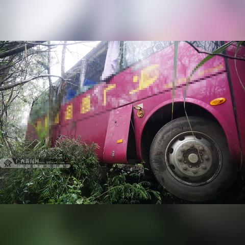 南宁李保杰的相关长尾关键词有哪些