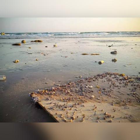 潍坊市北海看日出的长尾关键词有什么