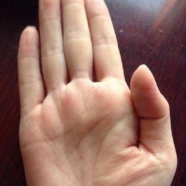 胆子小的生肖运势(胆子特小的动物猜一生肖)