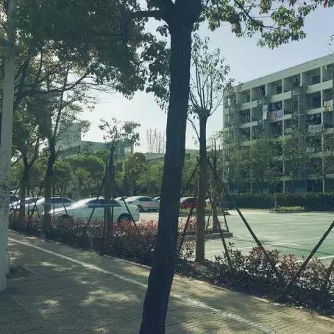 南通开水果店相关长尾关键词有哪些