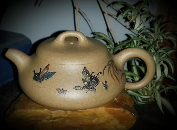 梦见蝴蝶钻进手心,心灵深处的温柔启示 梦见蝴蝶钻进手心,心灵深处的温柔启示