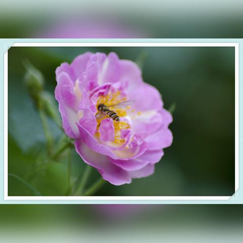 合肥新华学校怎么样？