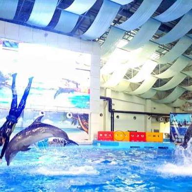 合肥老船长酒吧相关长尾关键词有哪些