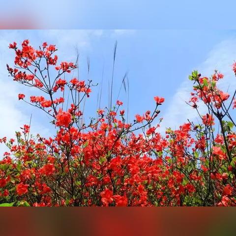 四月桂林旅游攻略相关长尾关键词有哪些