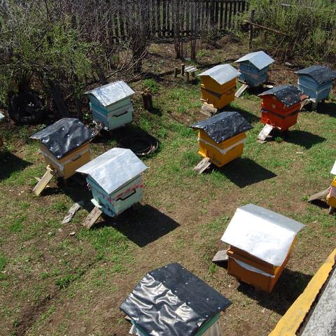 最近俄罗斯的天气怎么样