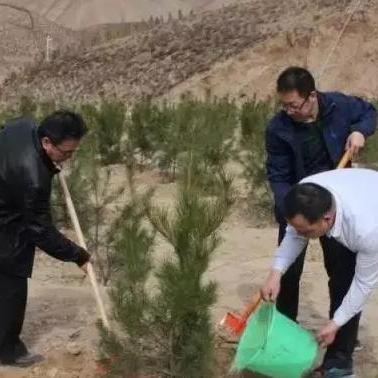兰州新区环境排名第几的相关长尾关键词有哪些