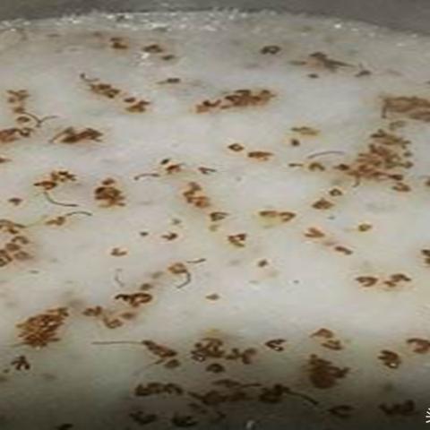 桂林哪里的早餐有糯米饭卖？