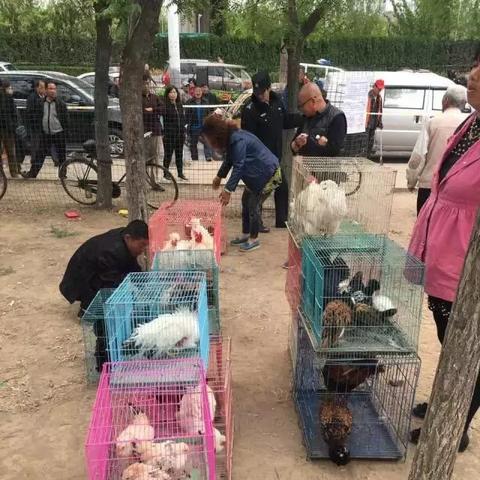 【天津市北辰区宜白路】长尾关键词有什么