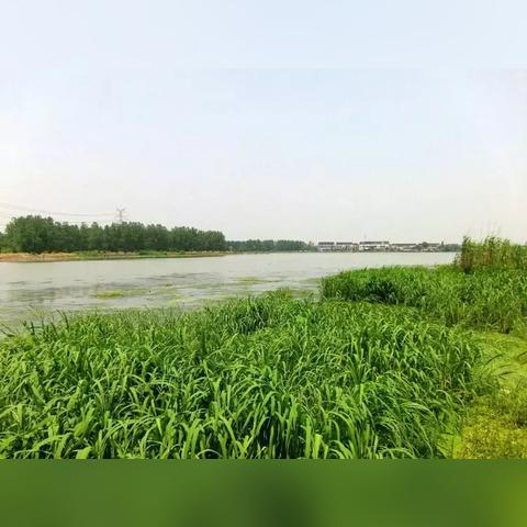 河南新店集属于哪个县