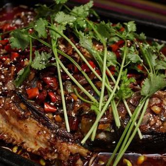 佛山市怎么办理转学生证