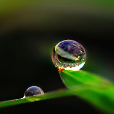 甲木的劫财是什么(甲木为劫财)