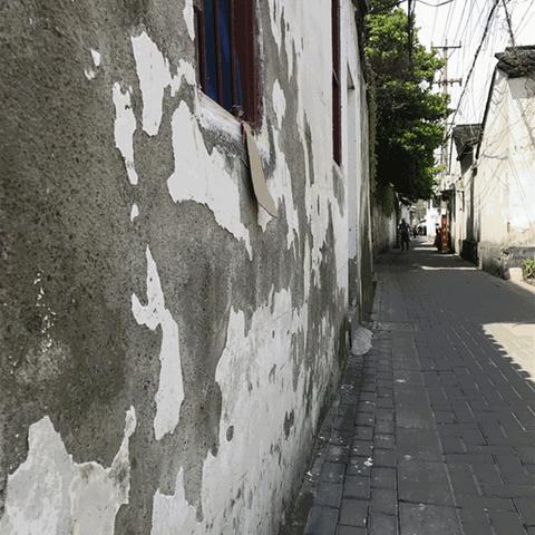 苏州市金什么县呀