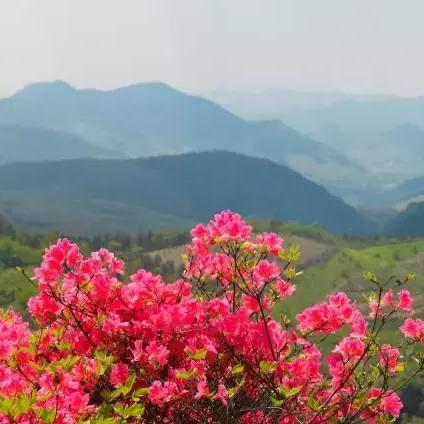 宁波市江北区什么湖路