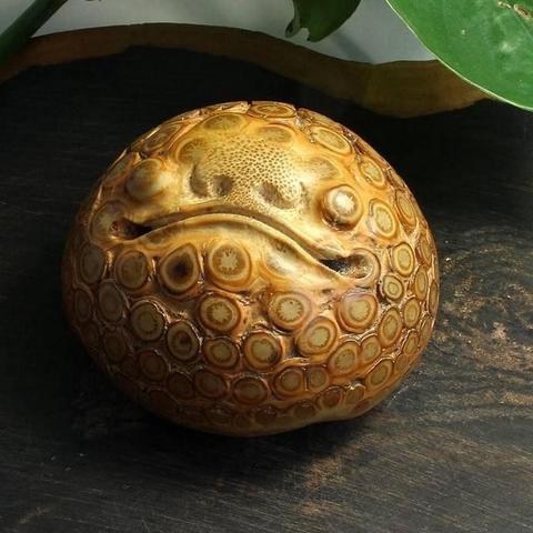 竹根雕金蟾的工具百度长尾关键词有哪些