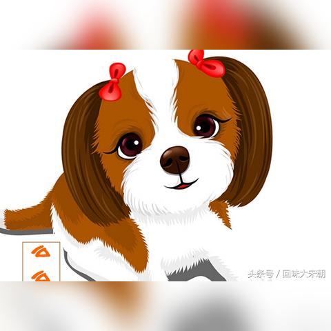 生肖狗运势介绍大全集(生肖狗运势介绍大全集图片)