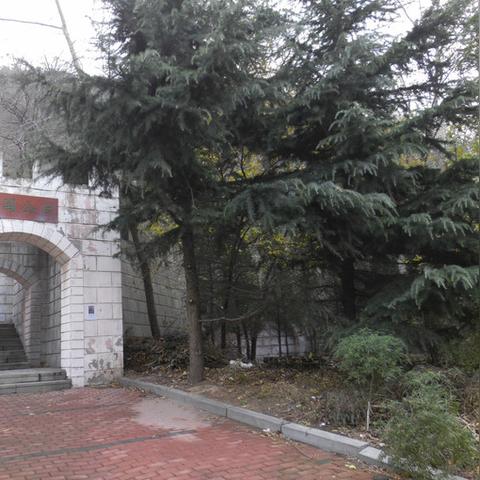 大连市的富国街是哪个区