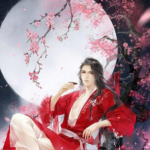 济南 熙美人相关长尾关键词有哪些