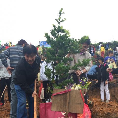 广东佛山市滨仪馆的长尾关键词有什么