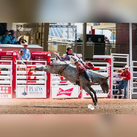 桂林市七星区牧场能量哪里有