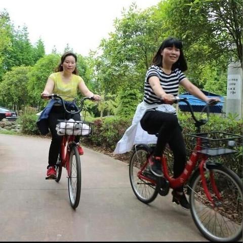 成都市区怎么没有电单车